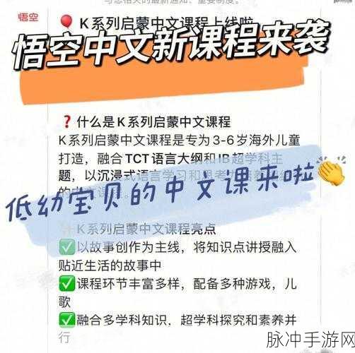 Zin One中文版来袭,解锁休闲益智新乐趣,下载即刻启程!