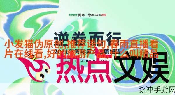 成品网站入口隐藏通道:1. 隐秘入口:揭开成品网站的神秘面纱