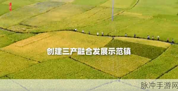 国家一产二产三产融合示范区:1. 深化一二三产业融合,推动区域经济高质量发展