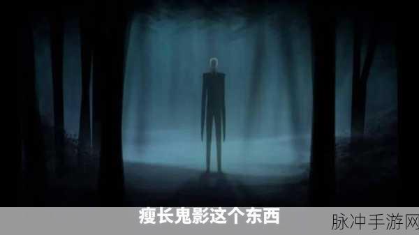 瘦长鬼影VR,惊悚休闲新体验,胆小者慎入!