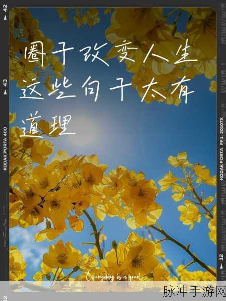 已满十八岁带好纸从此转入新世界:1. "迈向成年:纸上新世界的无限可能