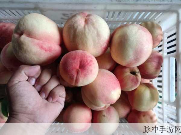 红桃国产:1. 红桃产业发展新机遇与挑战