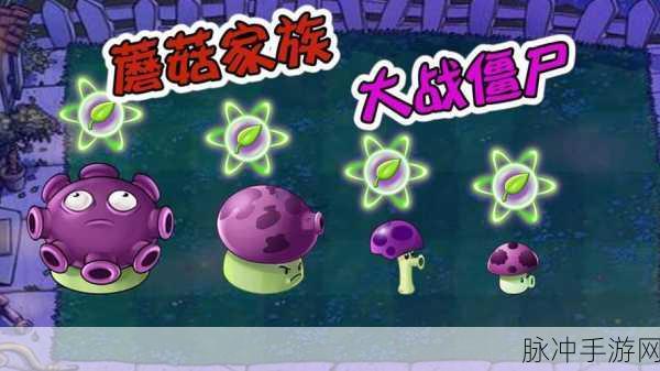 Typing Zombie(喷死僵尸)安卓版来袭,休闲解压新选择!