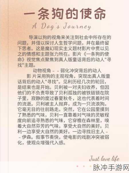 我的老公是条狗女白丽珍作者是谁:以下是一些基于《我的老公是条狗》主题的扩展