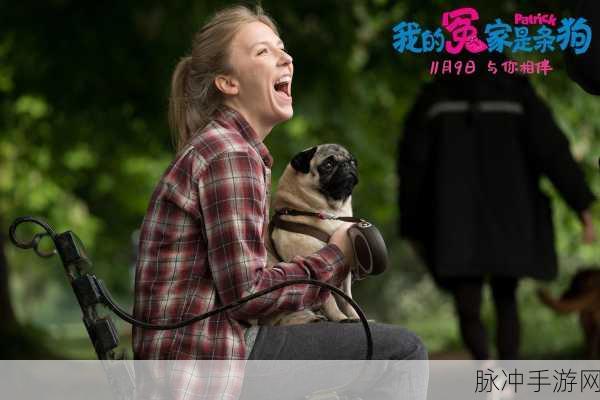 我的老公是条狗女白丽珍作者是谁:以下是一些基于《我的老公是条狗》主题的扩展