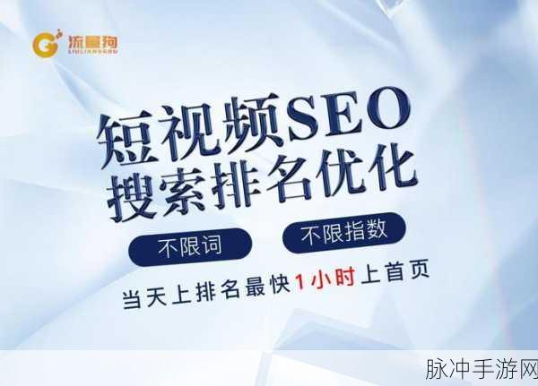 seo短视频网页免费入口引流