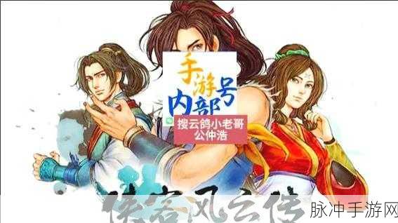 侠客立志传 枪法心法：1. 《侠客心法：枪舞苍穹的传奇