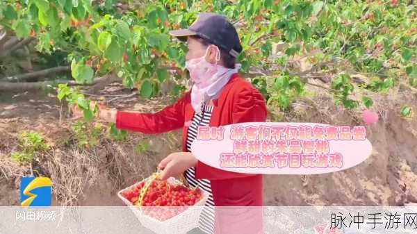 樱桃视频直播在线观看免费高清:1. 樱桃视频直播:高清畅享精彩瞬间