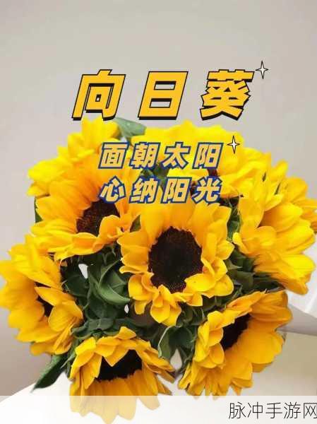 向日葵视频站长统计:1. 向日葵视频:探索最新热门影视资源的最佳平台