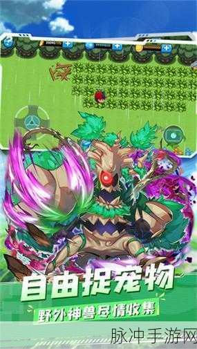 宠物小精灵复刻,无限金币版,重温经典动漫之旅