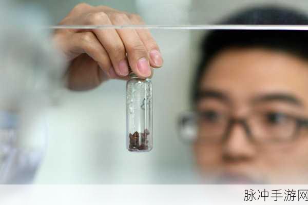 yw193coc龙物永不联还是:当然可以,以下是一些关于“yw193coc龙物永不联”的新标题建议,字数均在10个字以上: