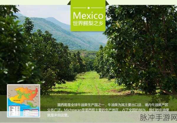 97精产国品产区区软件别:1. 97精产国品:探寻各大产区的独特魅力