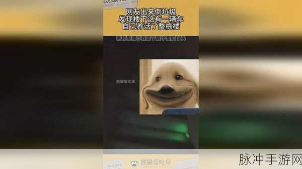 17c大家一起草