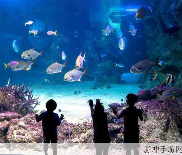 探索梦幻水族王国，打造你的海洋奇缘——水族馆世界游戏下载指南