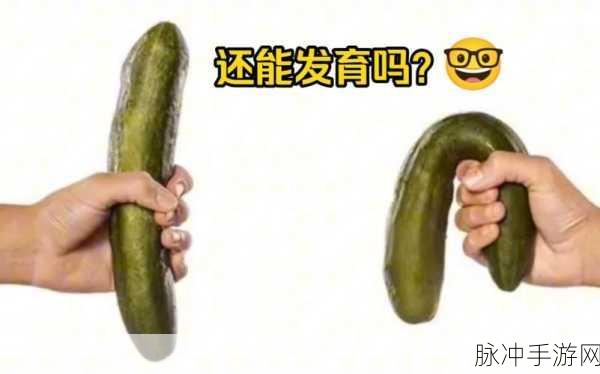 坤坤寒进桃子里91:1. 《坤坤寒冬探桃子,寻找温暖的甜蜜
