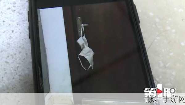 内裤小偷Panty Thief,搞笑益智新体验,欢乐下载不停歇