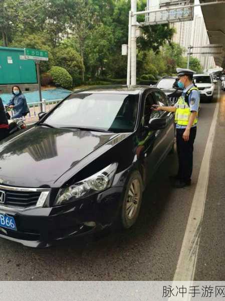 交警用小xue查酒驾笔趣阁:1. 小雪与交警的酒驾查处故事