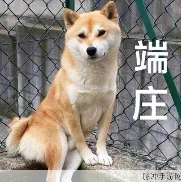 欧美人狗ZO:1. 探索人狗关系的新篇章:情感与责任