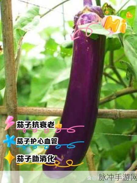 丝瓜秋葵茄子榴莲绿巨人:1. 丝瓜秋葵茄子的营养价值与搭配技巧