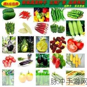 丝瓜秋葵茄子榴莲绿巨人:1. 丝瓜秋葵茄子的营养价值与搭配技巧