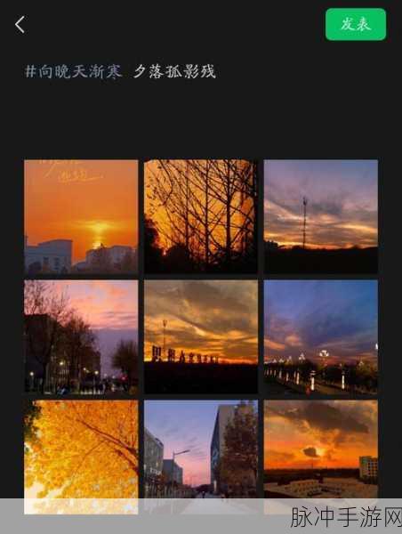 镜中世界寻孤影,解谜相伴暖心行