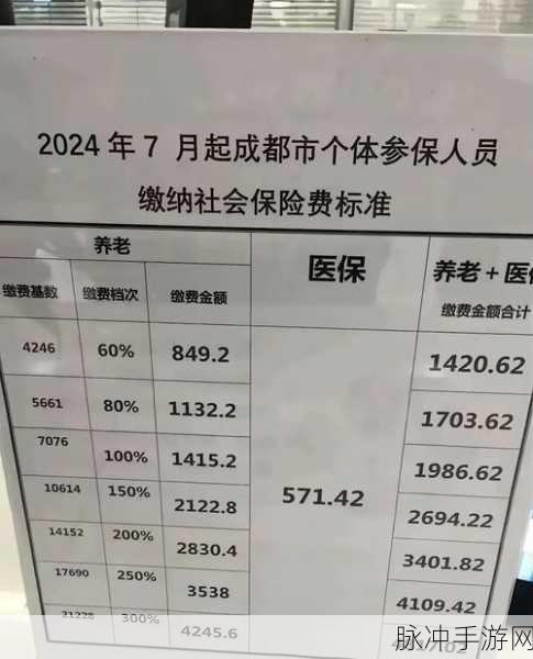 免费三色电费2024在线观看:1. 2024年免费三色电费政策详解与影响