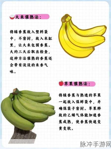 香蕉8.app视频:当然!以下是一些与香蕉8.app相关的扩展标题建议: