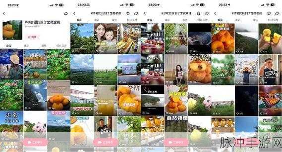 蜜桃传媒:1. 蜜桃传媒:引领数字内容新时代的先锋