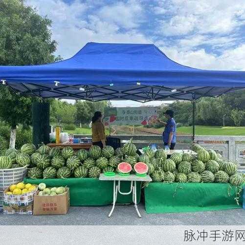 51吃瓜网必吃大瓜首页：1. ＂揭秘51吃瓜网：那些你不知道的美食宝藏