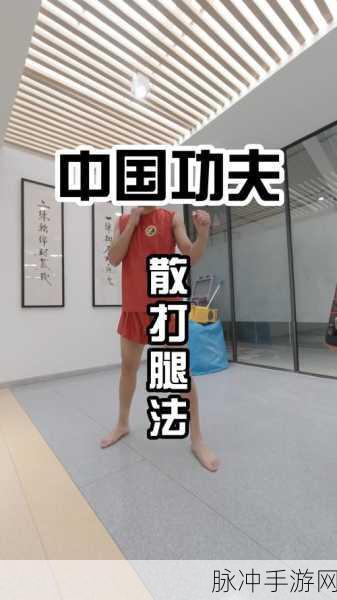 八重腿法娴熟:1. 八重腿法的灵活运用与实战技巧