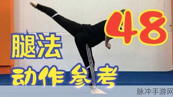 八重腿法娴熟:1. 八重腿法的灵活运用与实战技巧