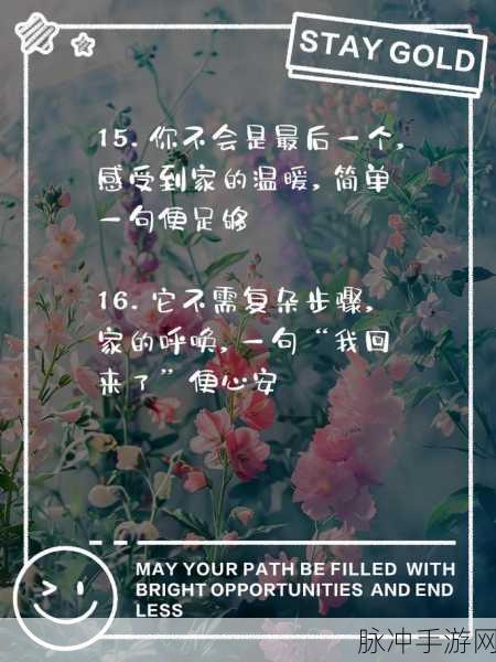 久久99回家不迷路:1. 回家不迷路:探寻心灵归属的旅程