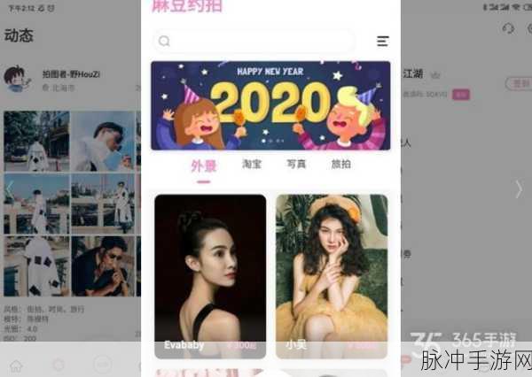 麻豆网站入口