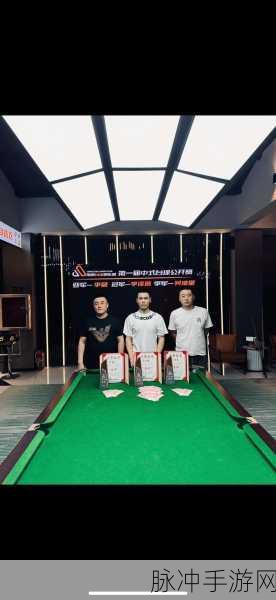台球大师之路,技巧与休闲并存的竞技盛宴