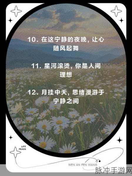 天天躁恨躁夜躁2020牛牛：1. 在烦躁中寻找宁静的心灵之旅