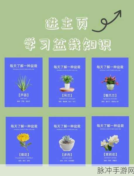 摇钱树攻略：1. 摇钱树攻略全解析：让你财富倍增的秘籍
