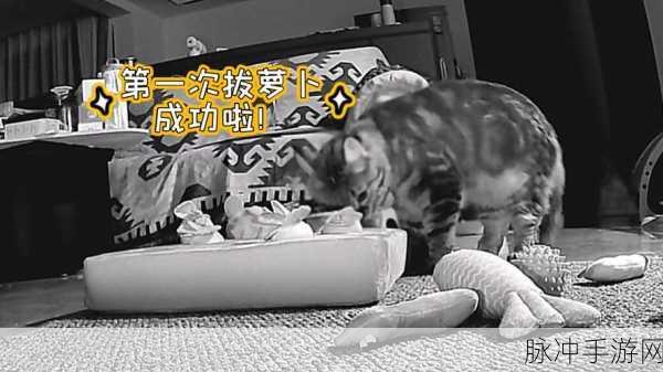 二人世界拔萝卜游戏下载：1. 《双人合作拔萝卜：友谊的挑战与乐趣