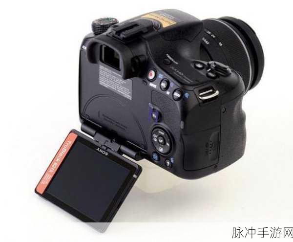 yw193龙物失联来源:1. 龙物失联事件揭示的神秘面纱