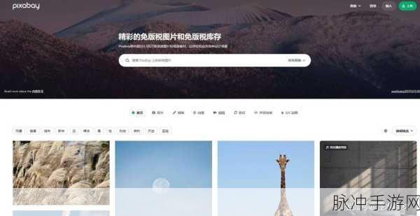 成品短视频下载网站有哪些软件:以下是一些关于成品短视频下载网站的软件标题建议,字数均不少于十个字: