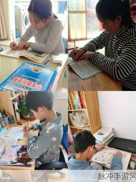 答题小天才,挑战智慧极限,益智答题新风尚