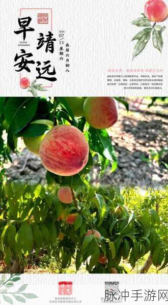 蜜桃成熟:1. 蜜桃成熟季节的美味与健康