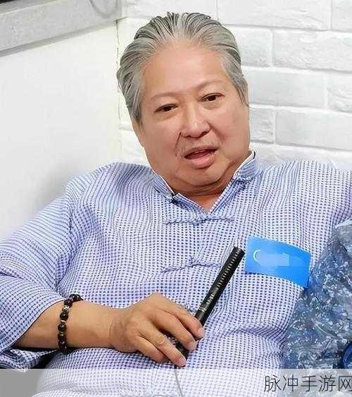 洪金宝力荐，重温经典传奇——洪爷传奇刀刀爆下载指南