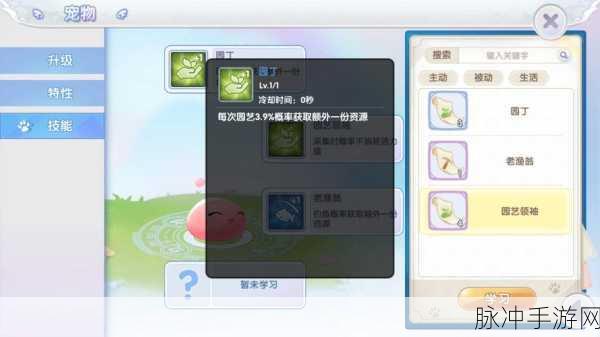 探索宠物仙境,开启你的奇幻角色扮演之旅