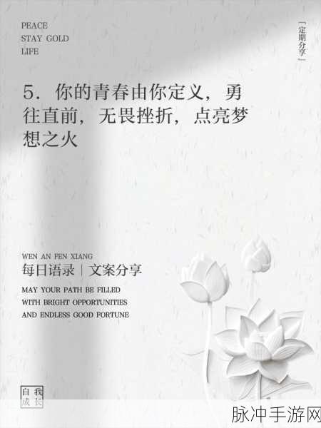 17岁·一起草:1. 17岁的青春梦想与奋斗之路