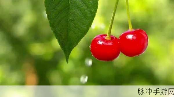 樱桃视频免费在线观看：1. 樱桃视频，畅享高清影视新体验