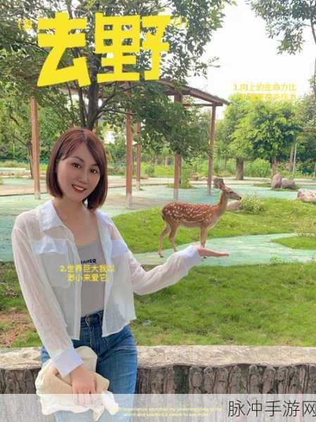 萌宠乐园新纪元,天天动物城经营养成之旅