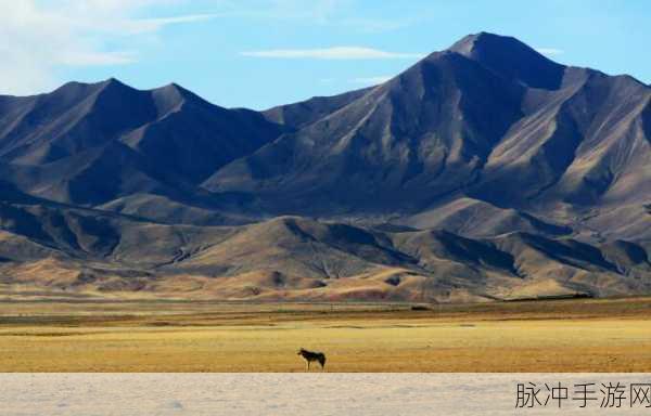 网狼2震撼登场,探索动物王国的RPG冒险之旅