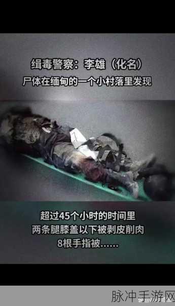 缉毒警察睾丸被注入了高浓缩药剂：缉毒警察遭遇高浓缩药剂注射事件揭秘