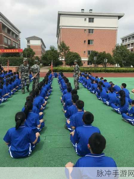 保护围墙，塔防新体验，智勇双全闯难关