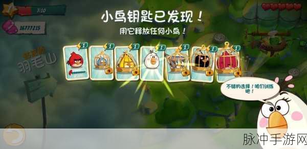 愤怒的小鸟骰子,解锁休闲新风尚,尽享别样游戏魅力